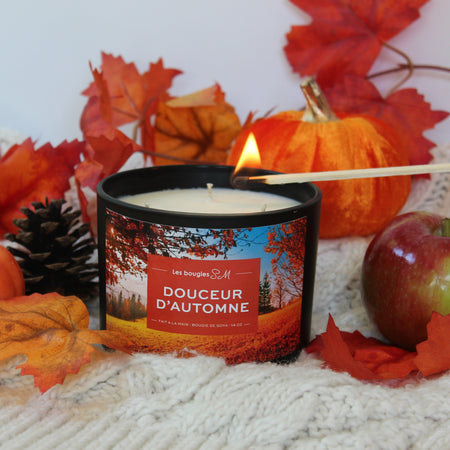épicé
verger
très odorante
soja
pomme verte
pomme rouge
parfum automn
oranges piquantes
odeur
notes chaudes
nature
musc
explosion harmonieuse
douceur d'automne
chandelle
cardamome
candle
Bougies SM
bougie sm
bougie parfumée
bougie de soja
bougie
bois
autumn
arômes
air frais
agrumes
8 oz
3 meche
14 oz