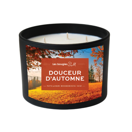 épicé
verger
très odorante
soja
pomme verte
pomme rouge
parfum automn
oranges piquantes
odeur
notes chaudes
nature
musc
explosion harmonieuse
douceur d'automne
chandelle
cardamome
candle
bougie
bois
autumn
arômes
air frais
agrumes
8 oz
3 meche
14 oz
Bougies SM
bougie parfumée
bougie sm
bougie de soja