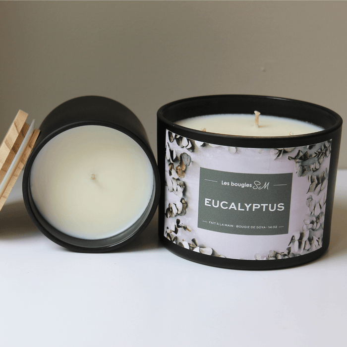 bougies , candle , chandelles , produit quebecois , cire de soja ,8 oz ,3 mèches , odeur , fragrance , huile