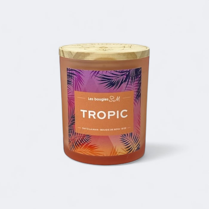 été

tropicaux

tropicale

soja

parfum envoûtant

paradis tropical

odeur festive

odeur captivante

odeur

moment de déténte

fruits tropicaux

fraicheur structurante

fraicheur estivale

fraicheur

fragrance

couleurs vibrantes

cire de soja

chandelle

candle

Bougies SM

bougie été

bougie personnaliser

bougie parfumée

bougie estival

bougie

arômes

8 oz