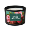 treewicks ,nature  musc  fraicheur structurante  fraicheur  foret  cèdres  candle  bougie , arôme naturel  8 oz  14oz ,  bougiessm , chandelle ,brise exotique , exotique , envoutante , florale , fleur , fruité , 3 mèches , 