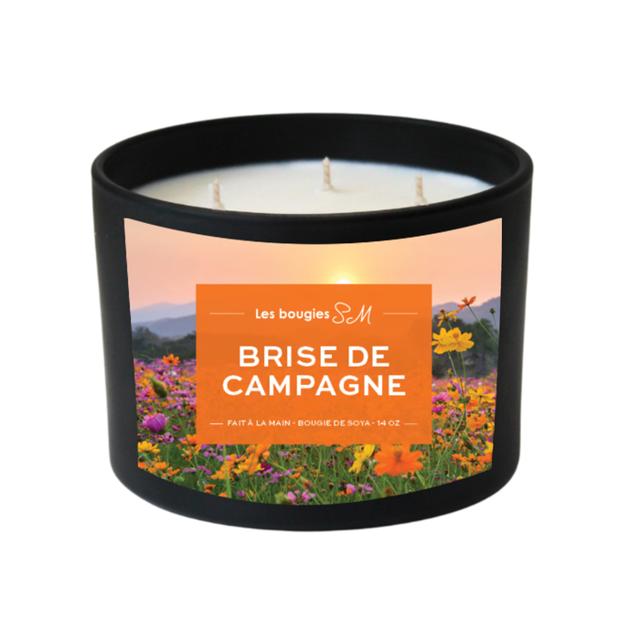 treewicks  promenade en foret  odeur boisé  note de cèdre  note de bois  nature  musc  fraicheur structurante  fraicheur  foret  cèdres  candle  bougie  boréal  boisé  bois de santal  bois  arôme naturel  8 oz  12 oz , brise de campagne , chandelle ,bougiessm , 3 mèches , campagne , 