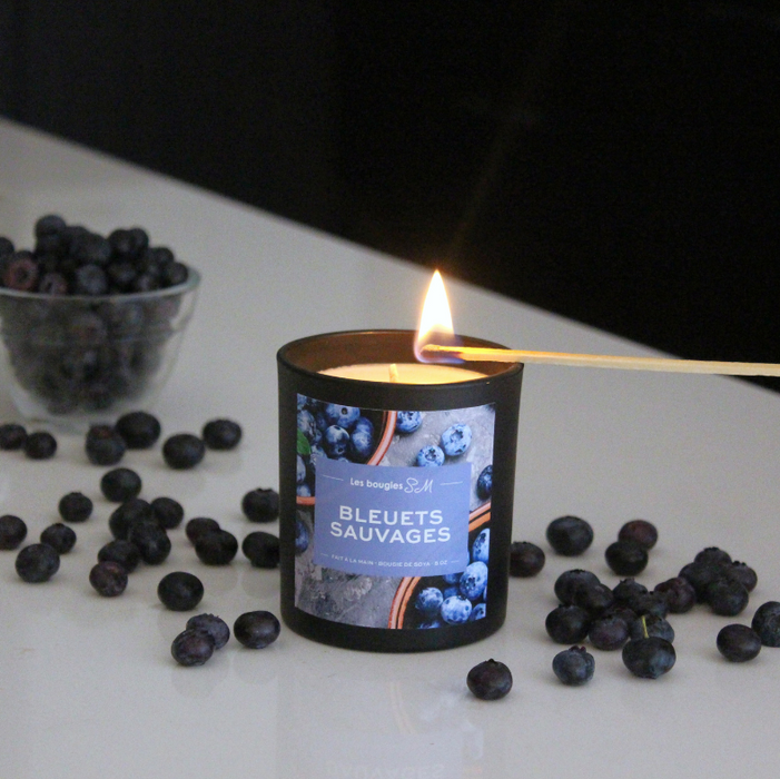 Bleuets Sauvages