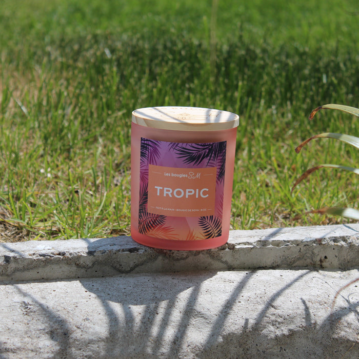tropic , bougie estivale, été , chaud , fruitée , agrumes , fait a la main , candle , cire de soya , orange , bougies sm , 8 oz , summer vibes , smell good , good vibes 